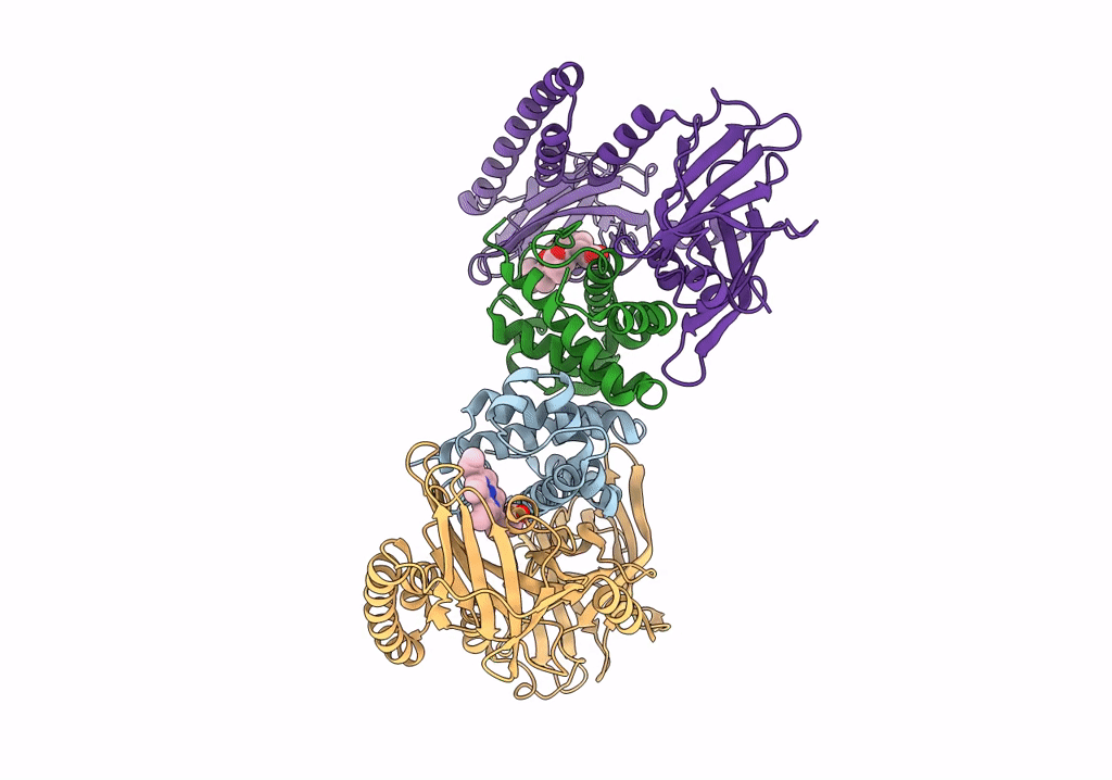 7PCF image