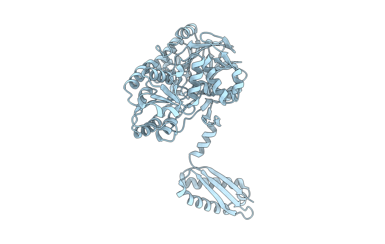 7PCR image