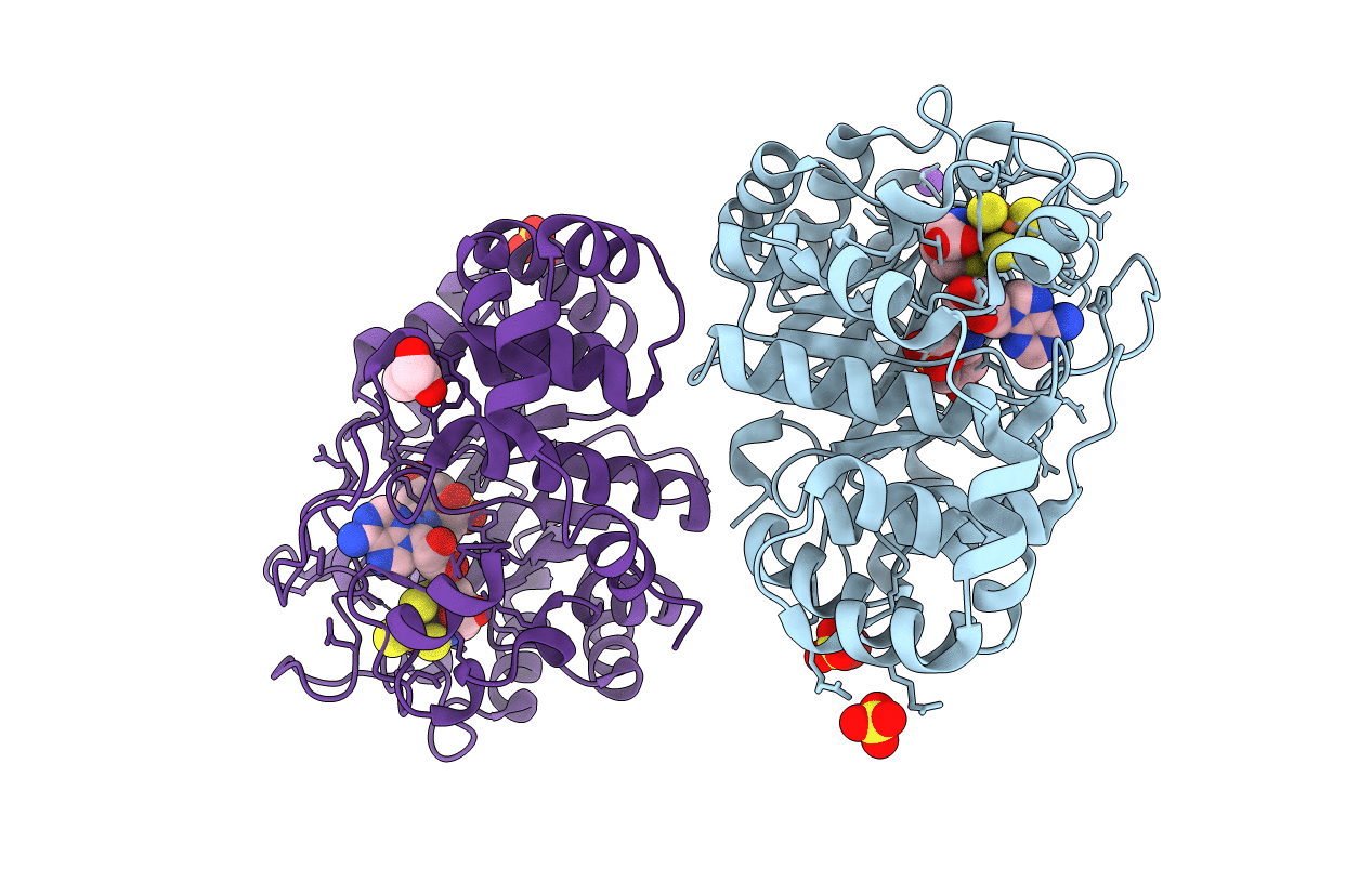 7PD1 image