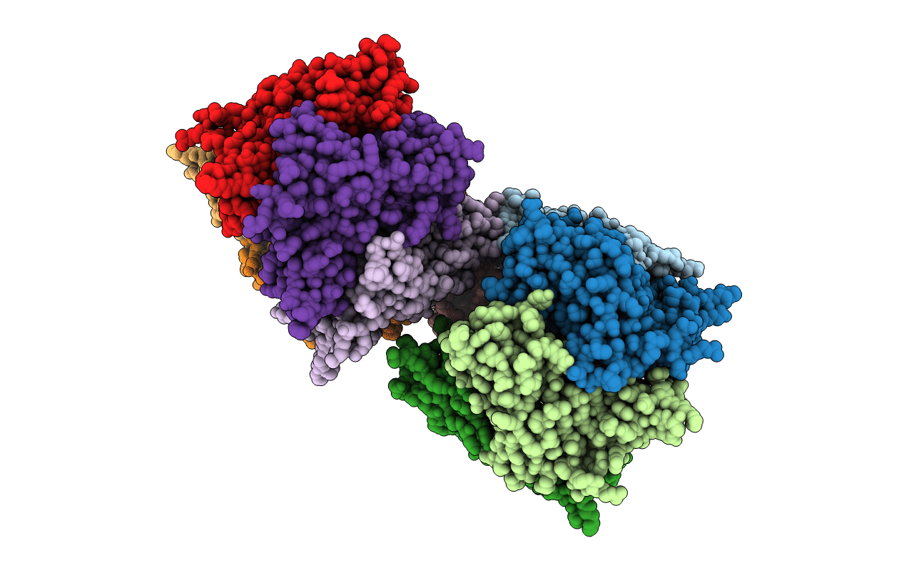 7PD6 image