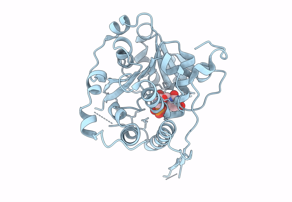 7PDO image