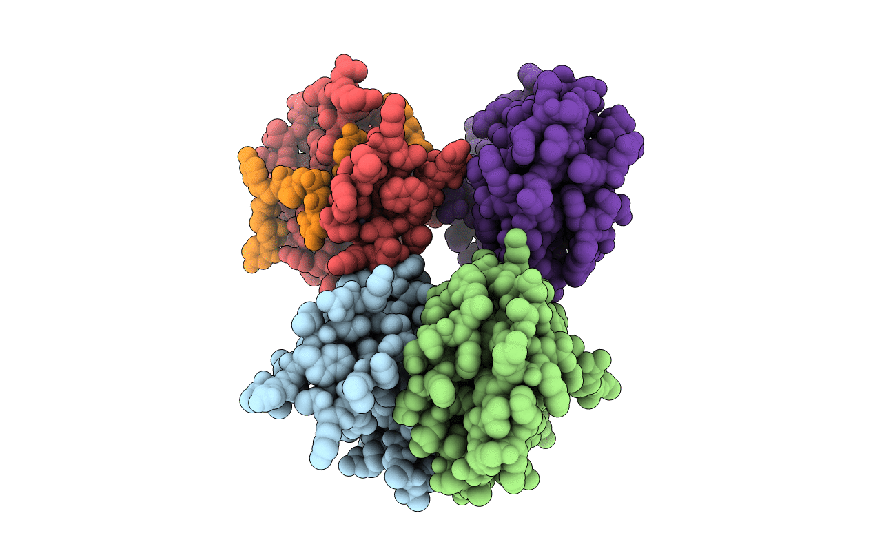 7PDV image