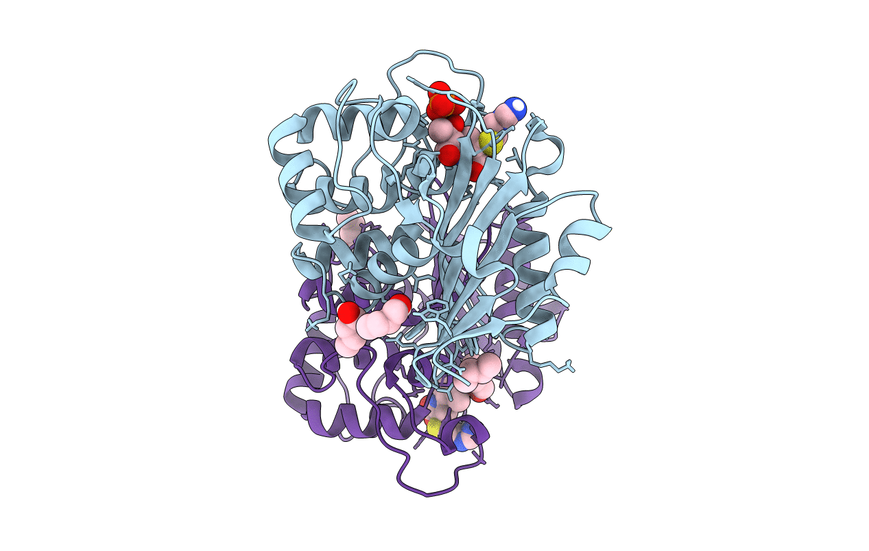 7PFN image