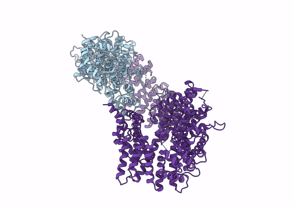 7PGP image