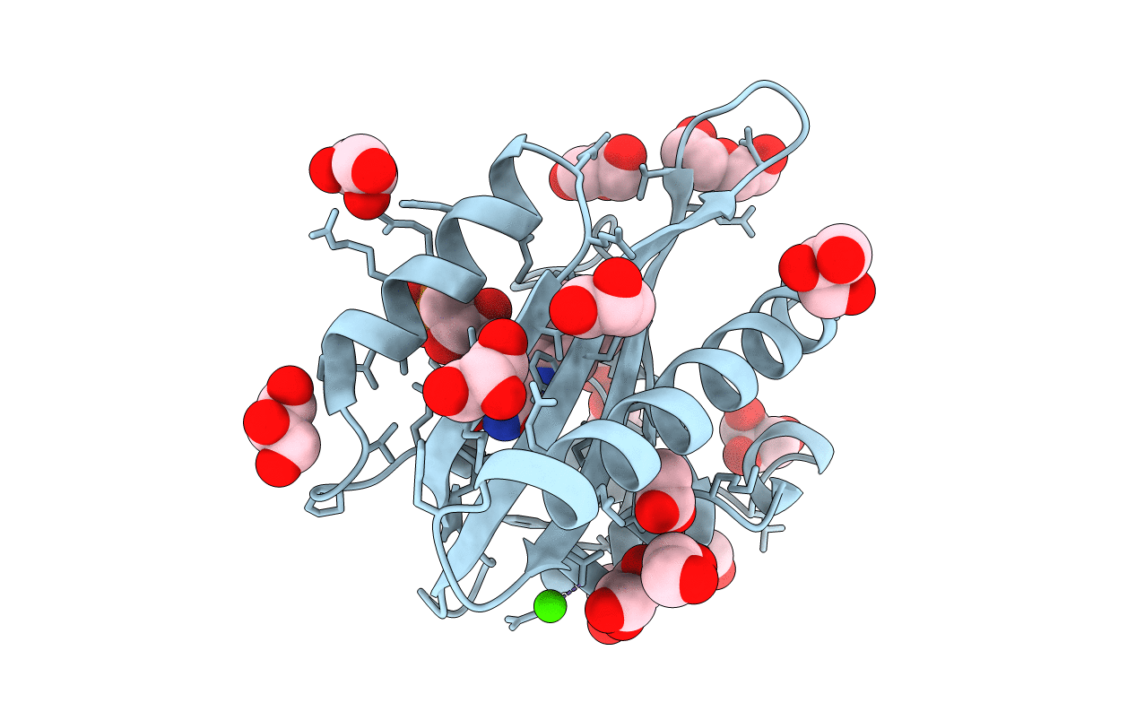 7PGX image