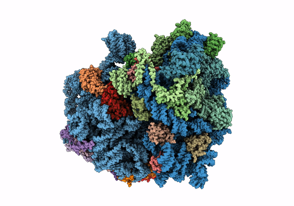 7PHB image