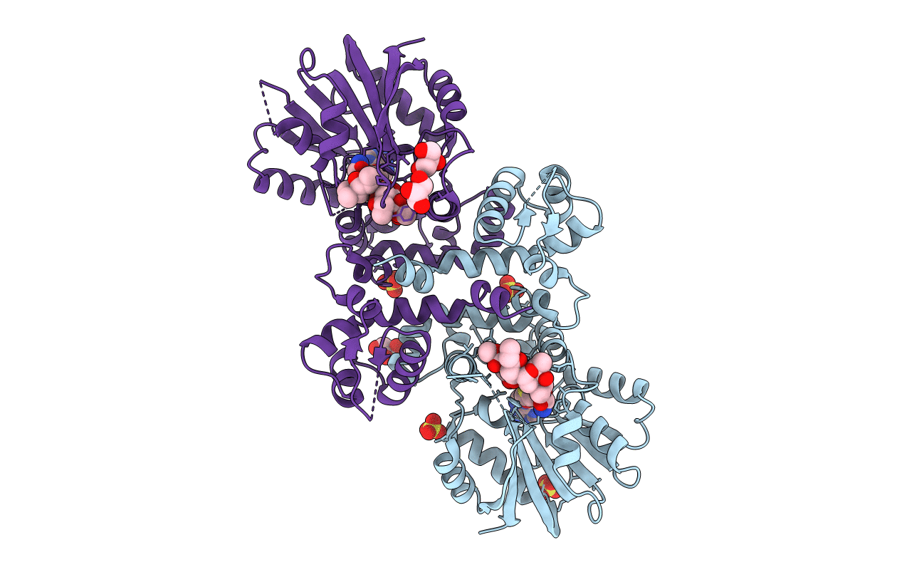 7PHD image