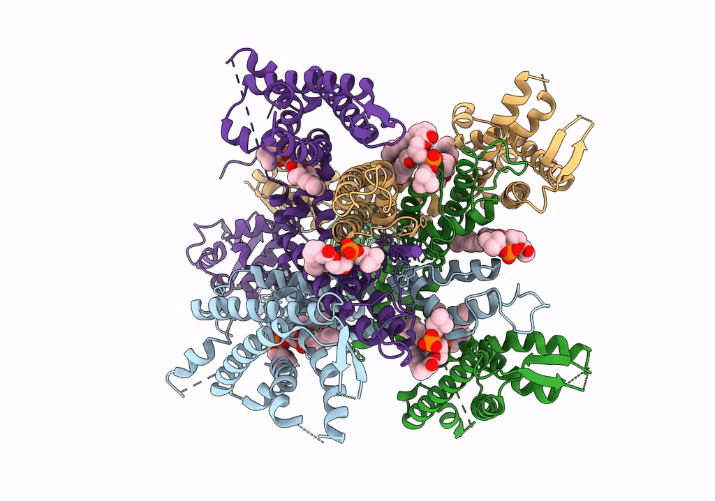 7PHI image