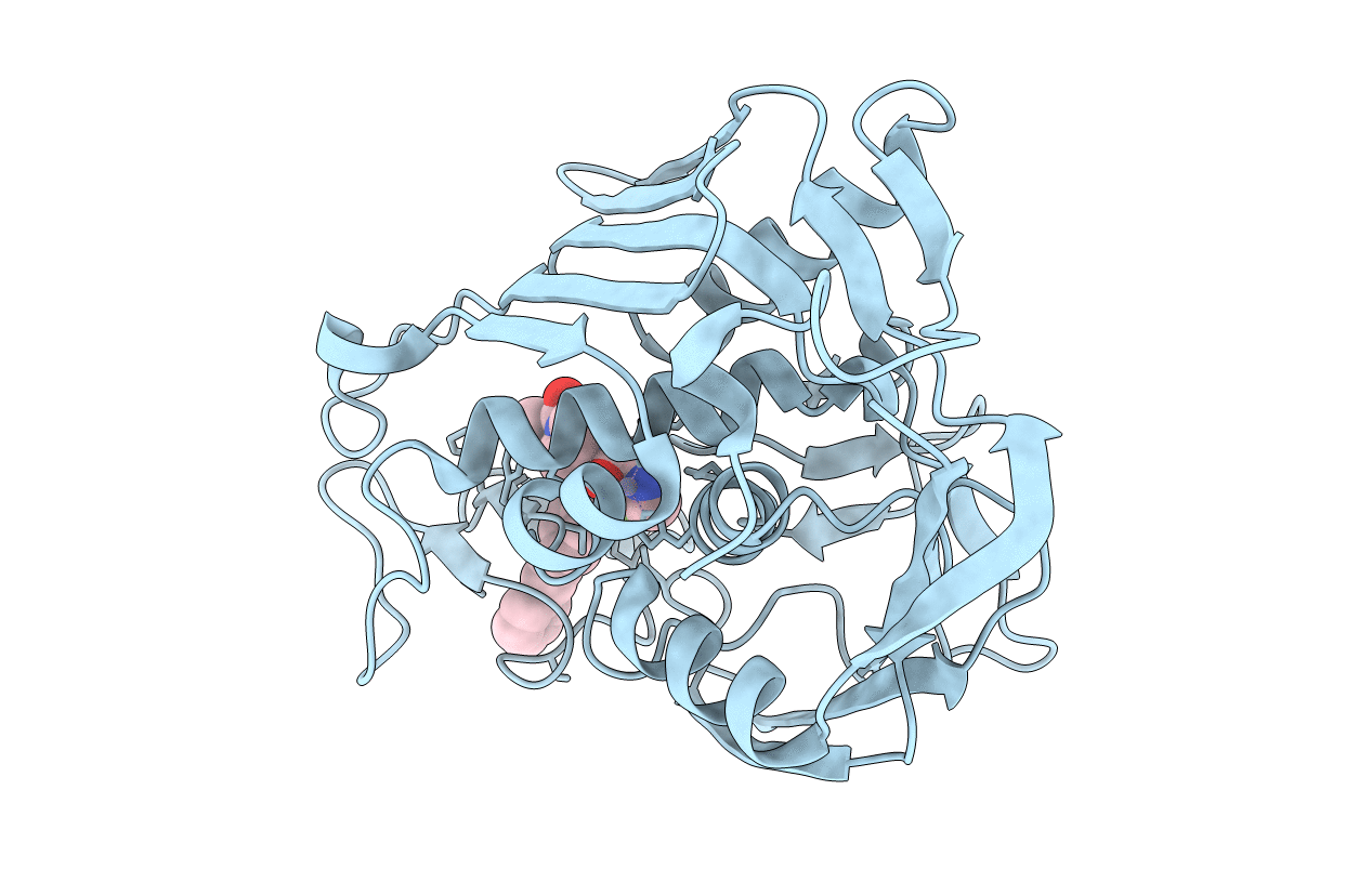 7PHJ image