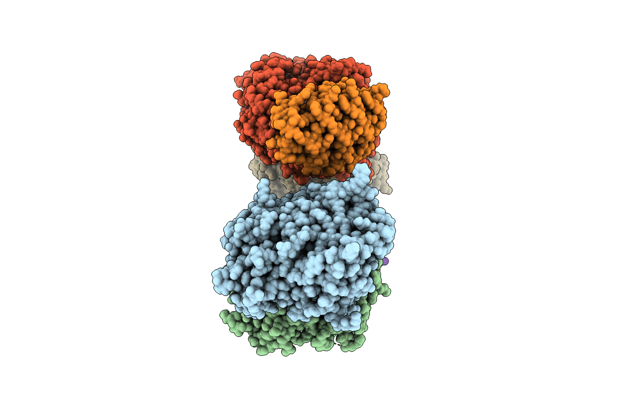 7PJE image