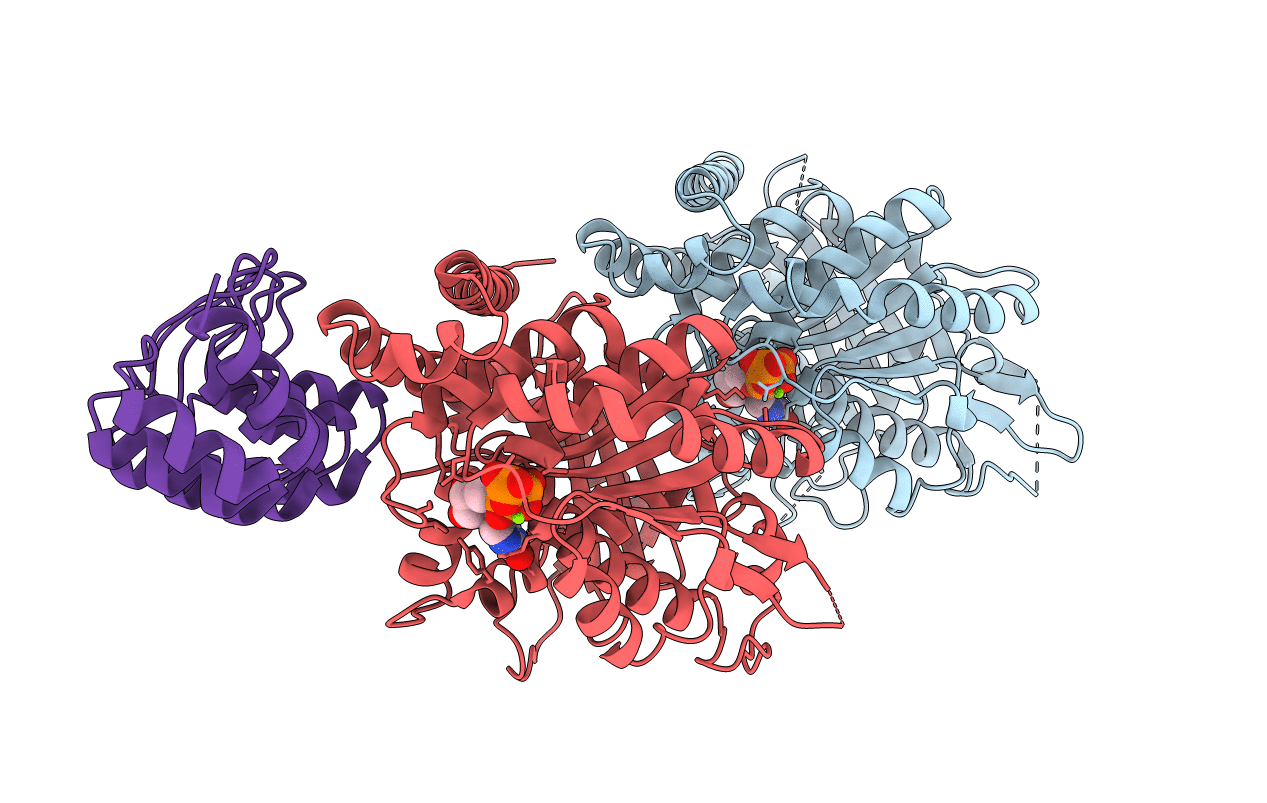7PJF image