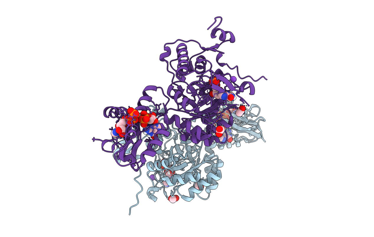 7PJI image
