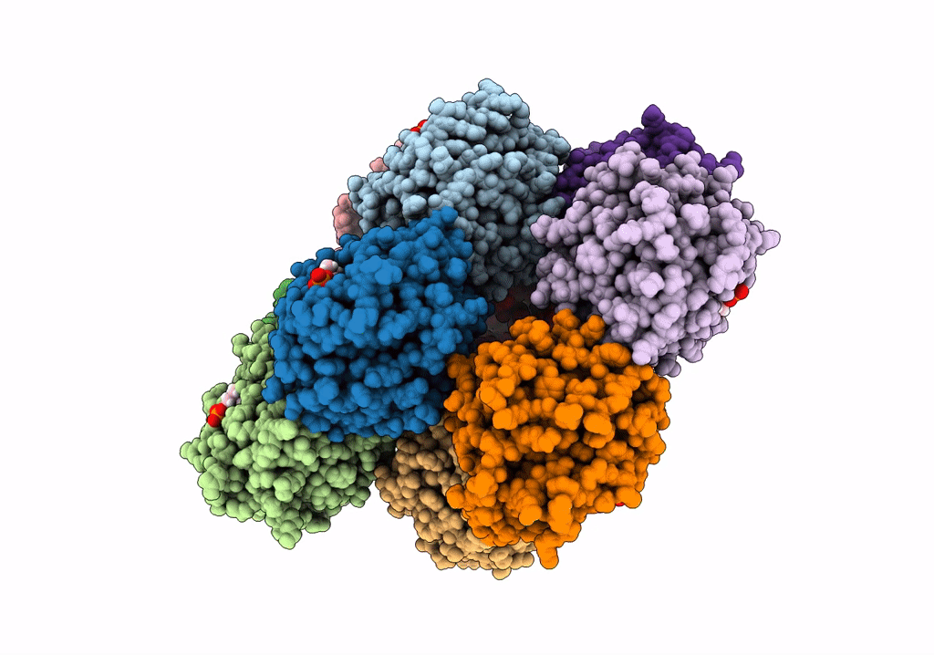 7PKD image