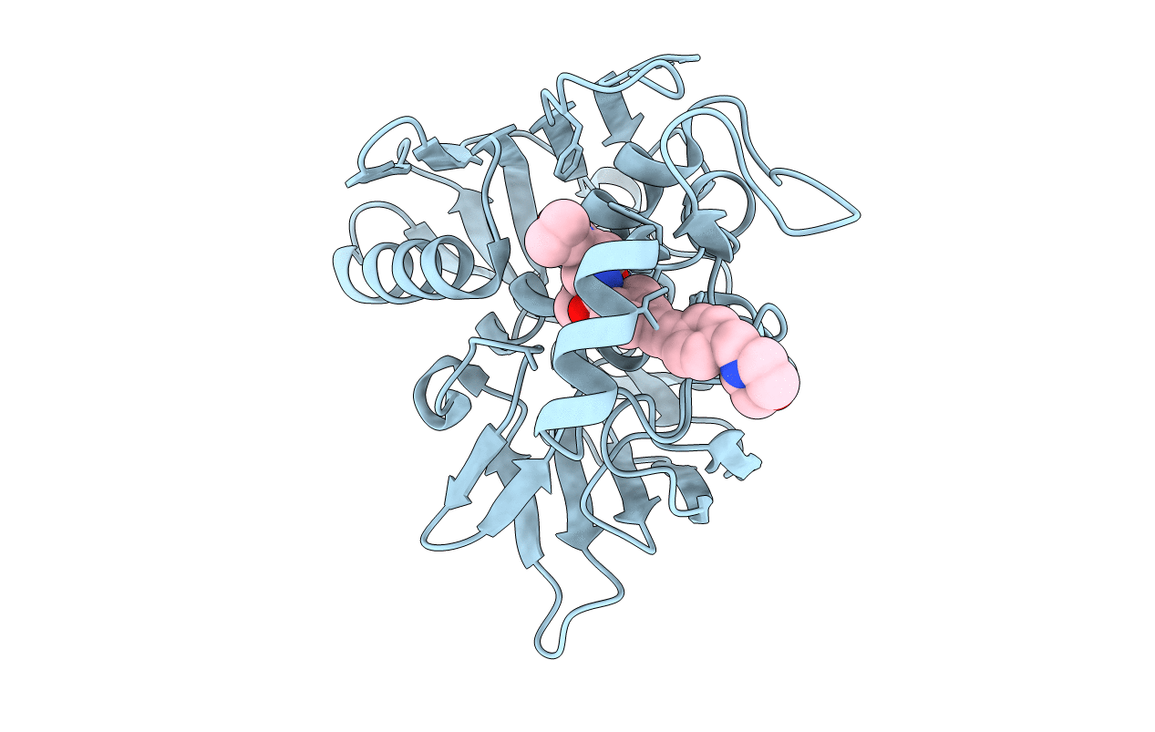 7PKM image