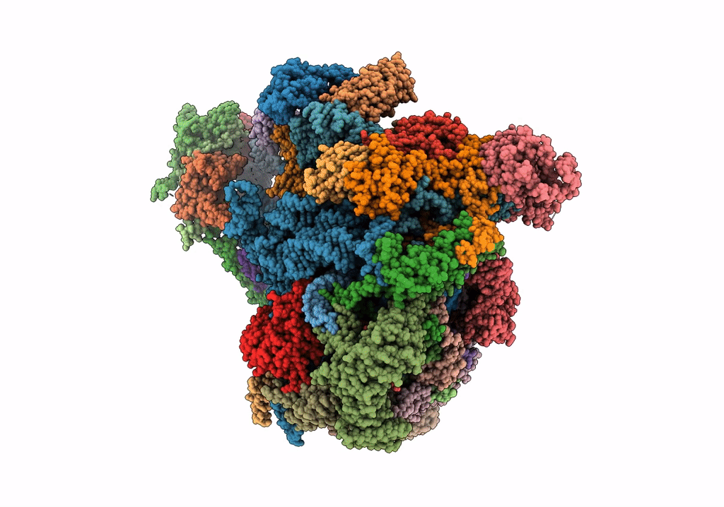 7PKT image