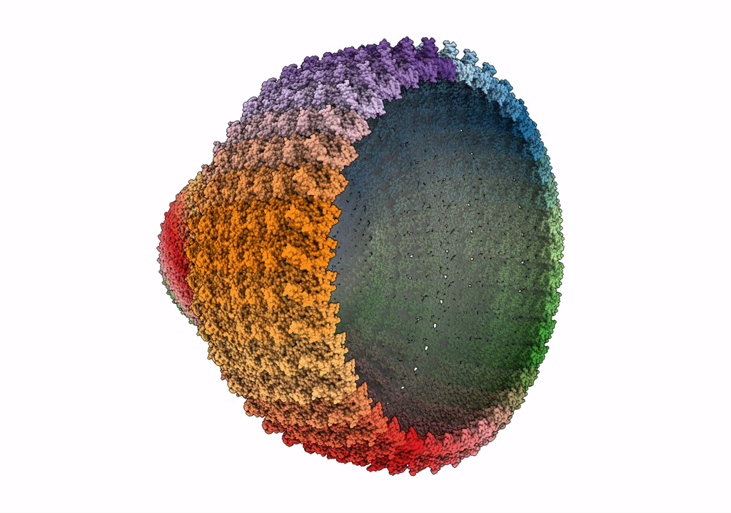 7PKY image