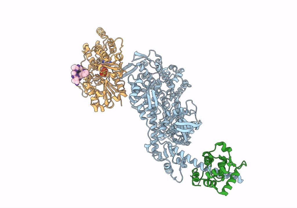 7PLW image