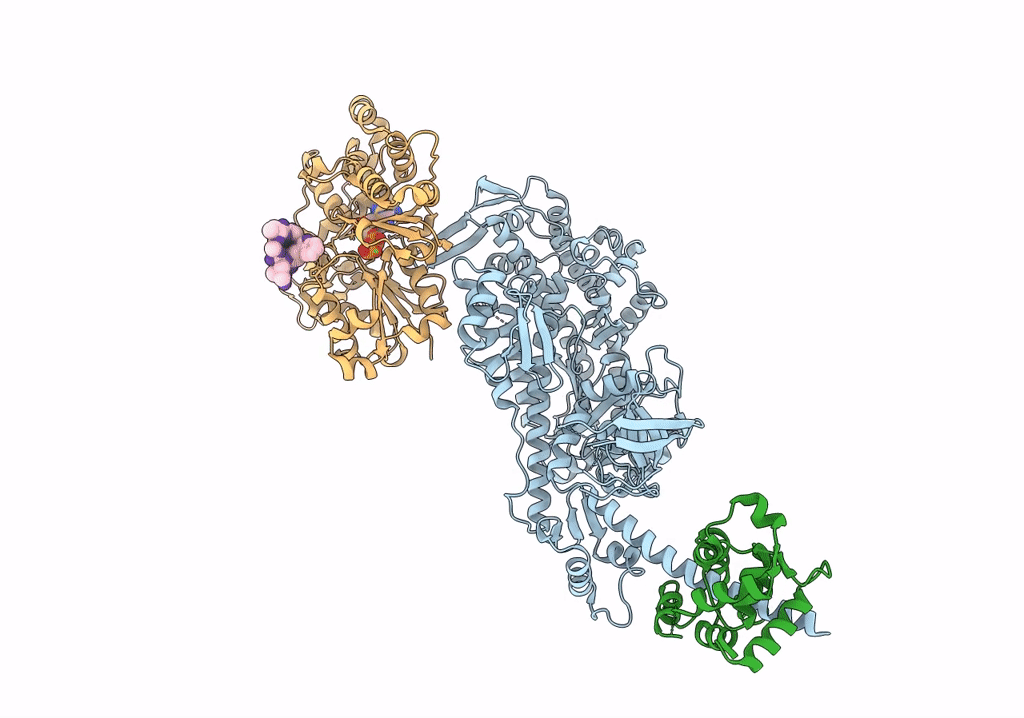 7PLX image