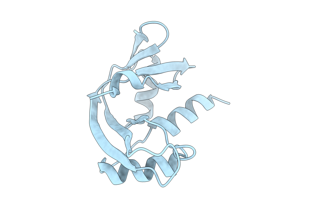 7PNP image