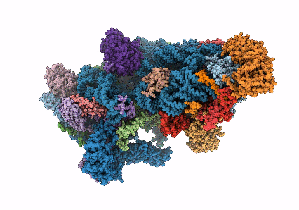7PNV image