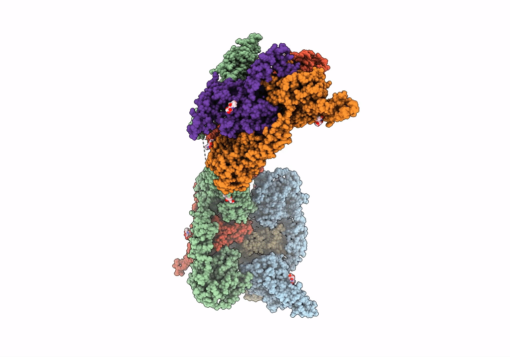 7PP6 image