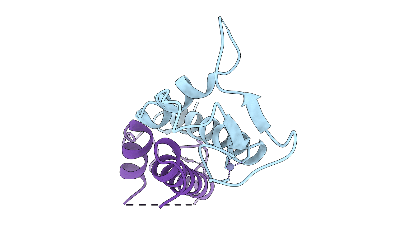 7PPP image
