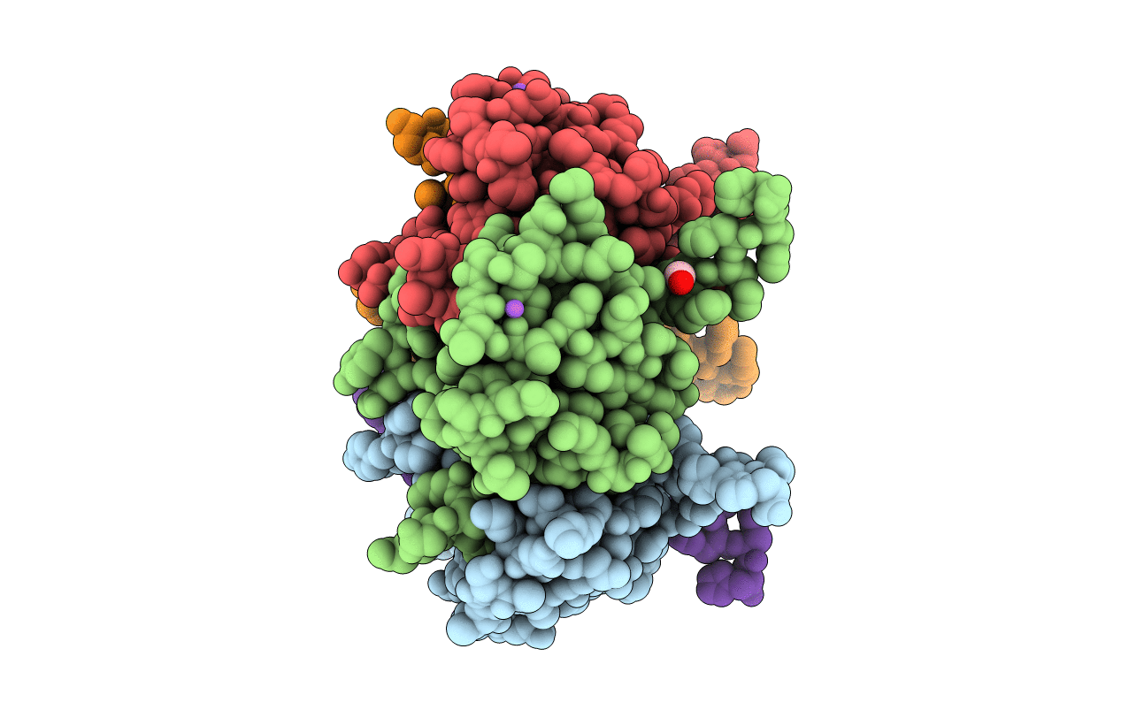7PRP image
