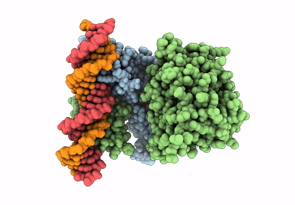 7PRV image