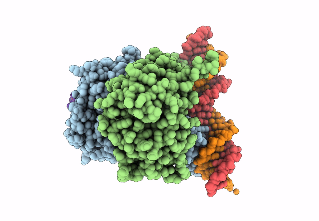 7PRW image