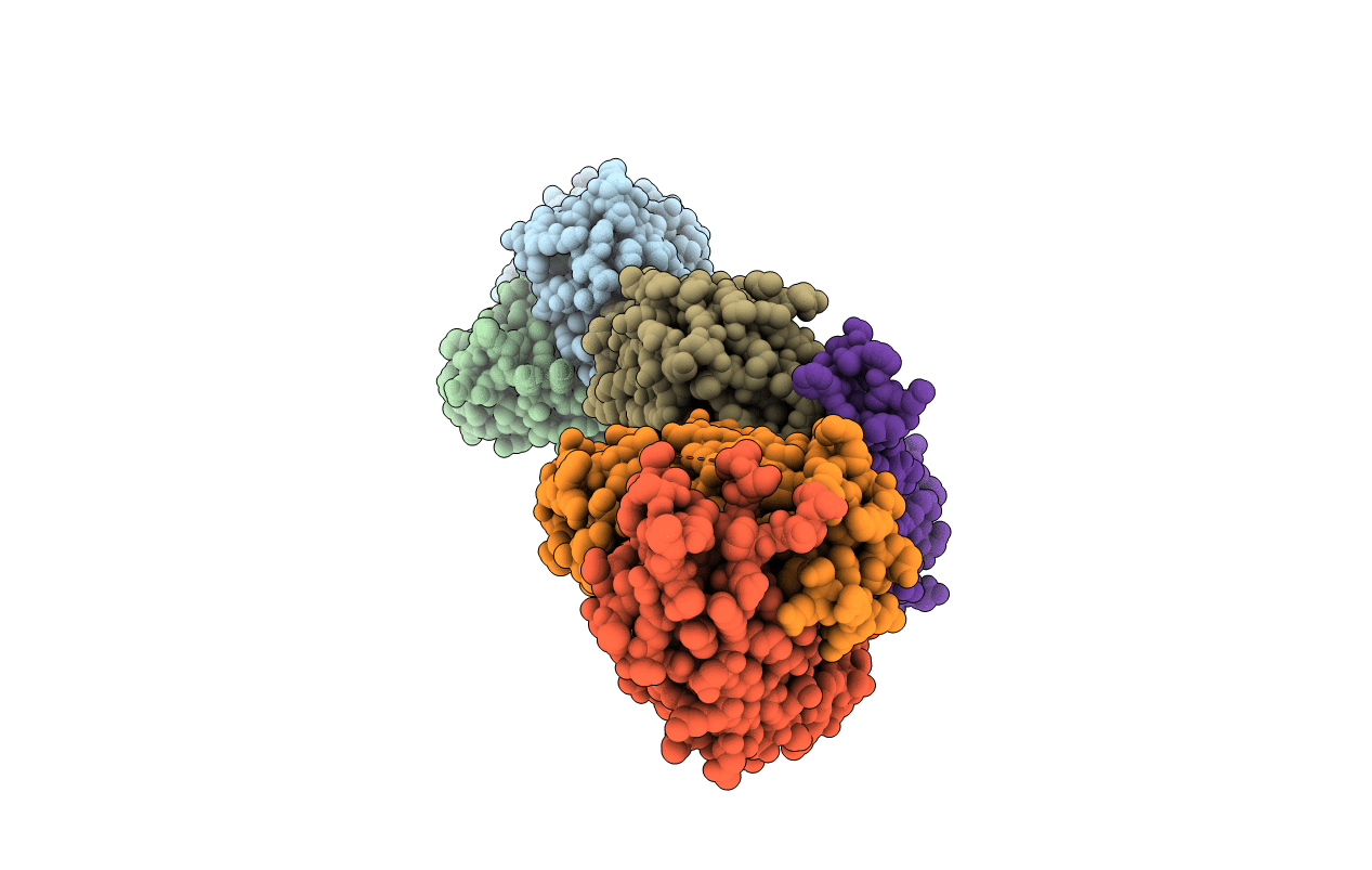7PS7 image
