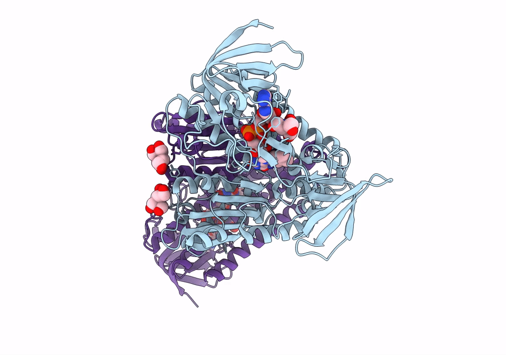 7PSC image