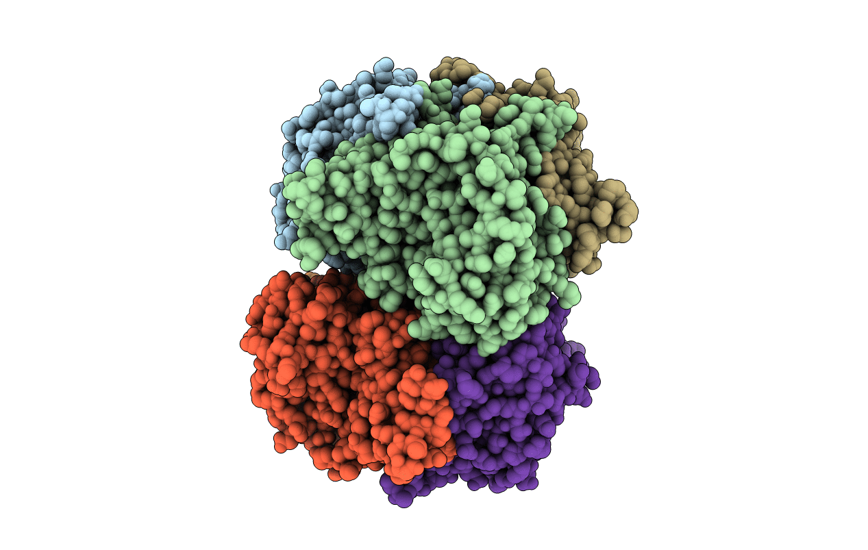 7PTM image