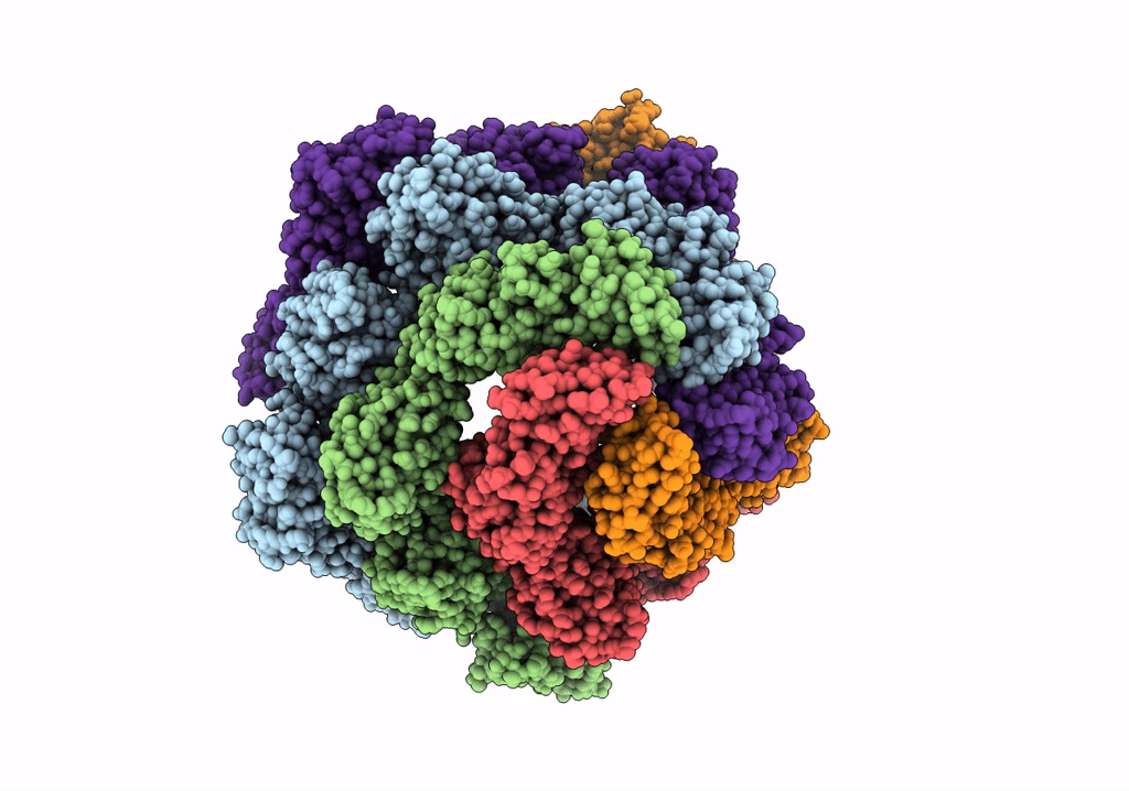 7PTP image