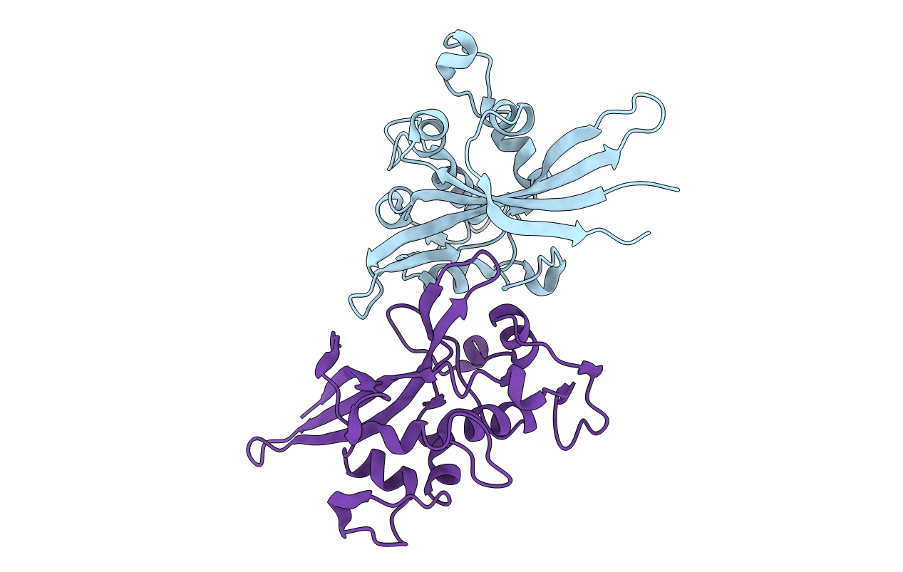 7PVH image
