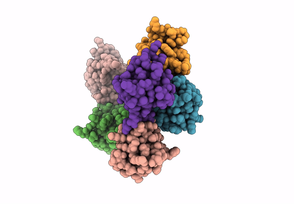 7PW0 image