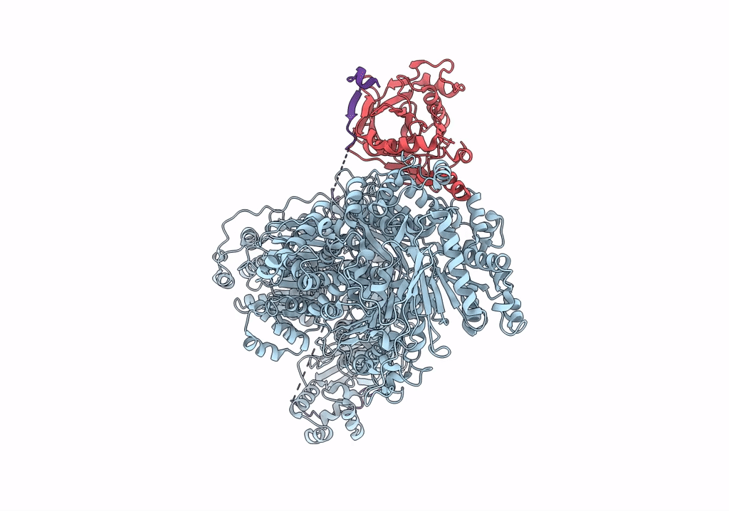 7PX3 image