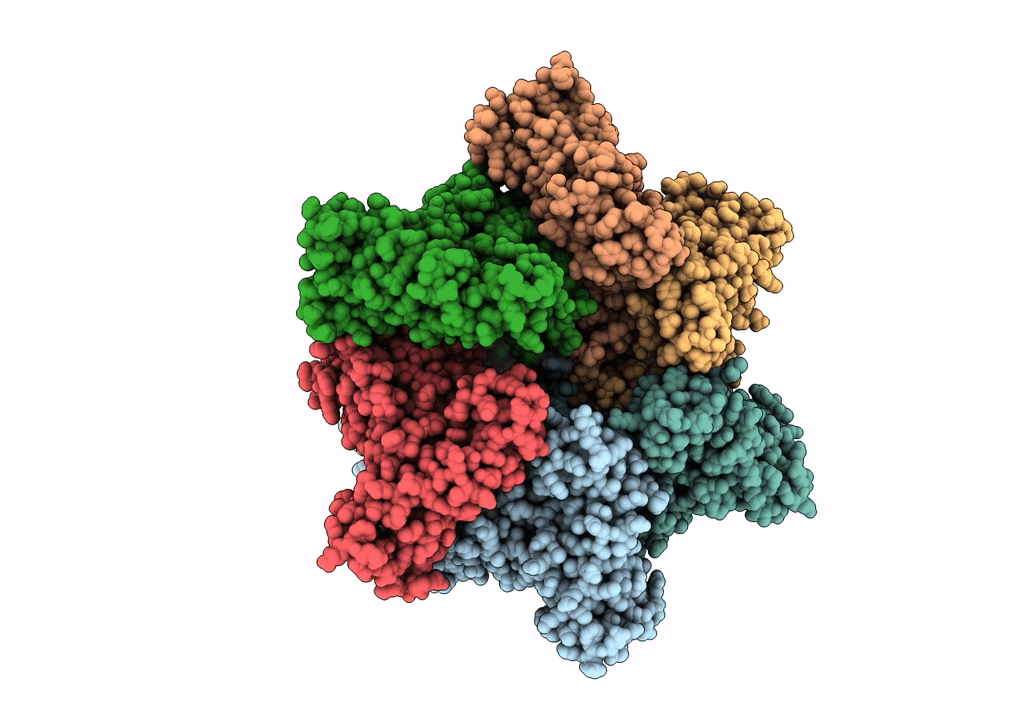 7PXB image