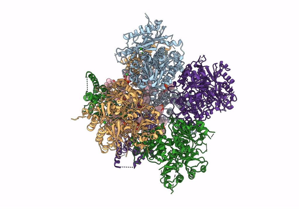 7PXH image