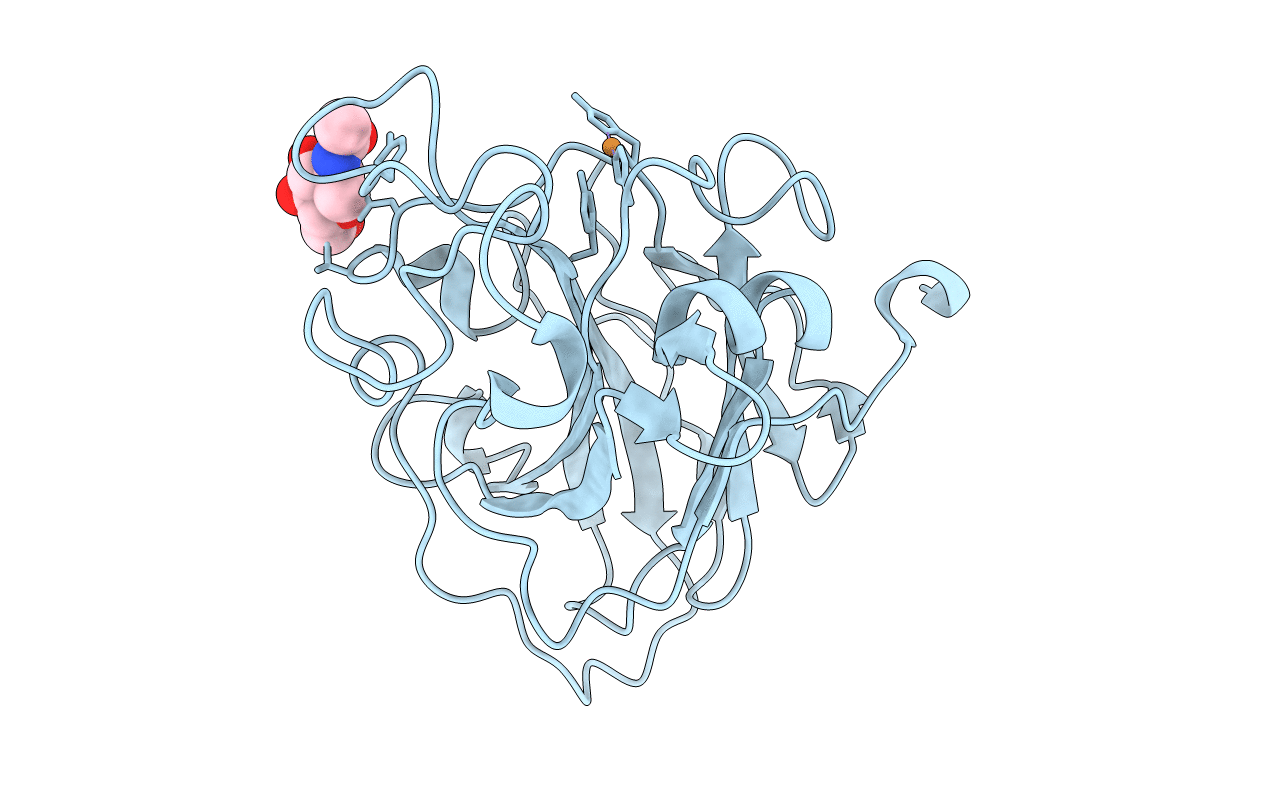7PXV image