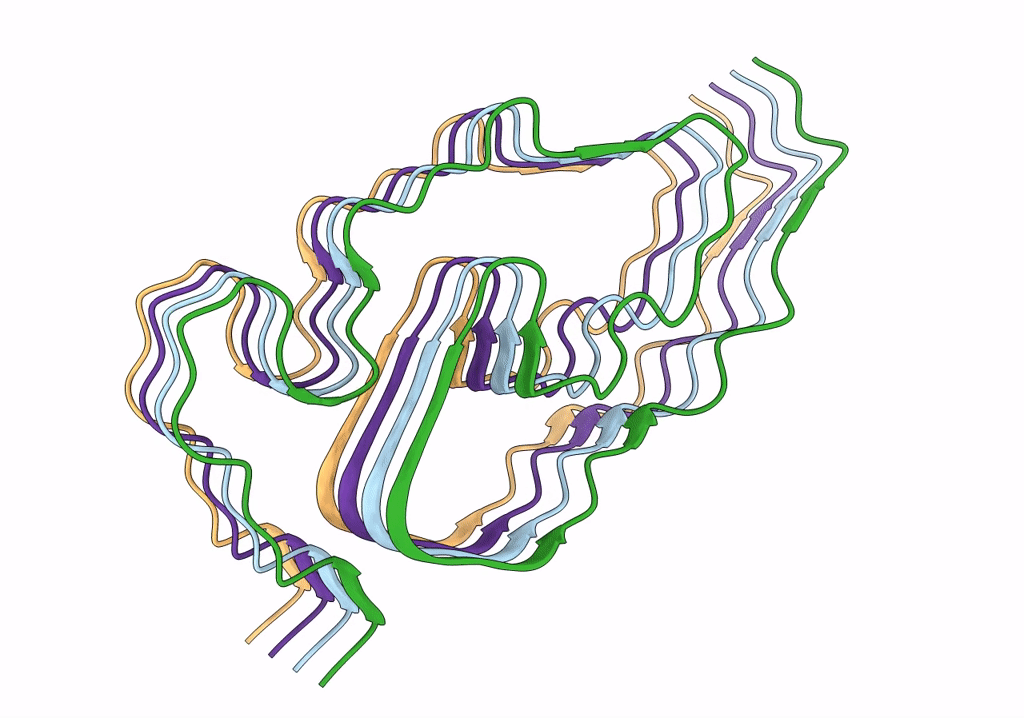 7PY2 image