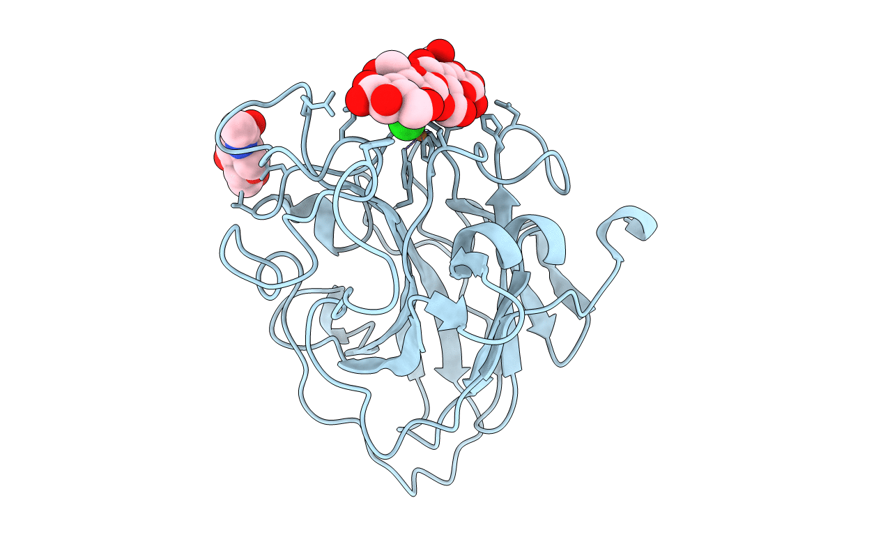 7PYD image