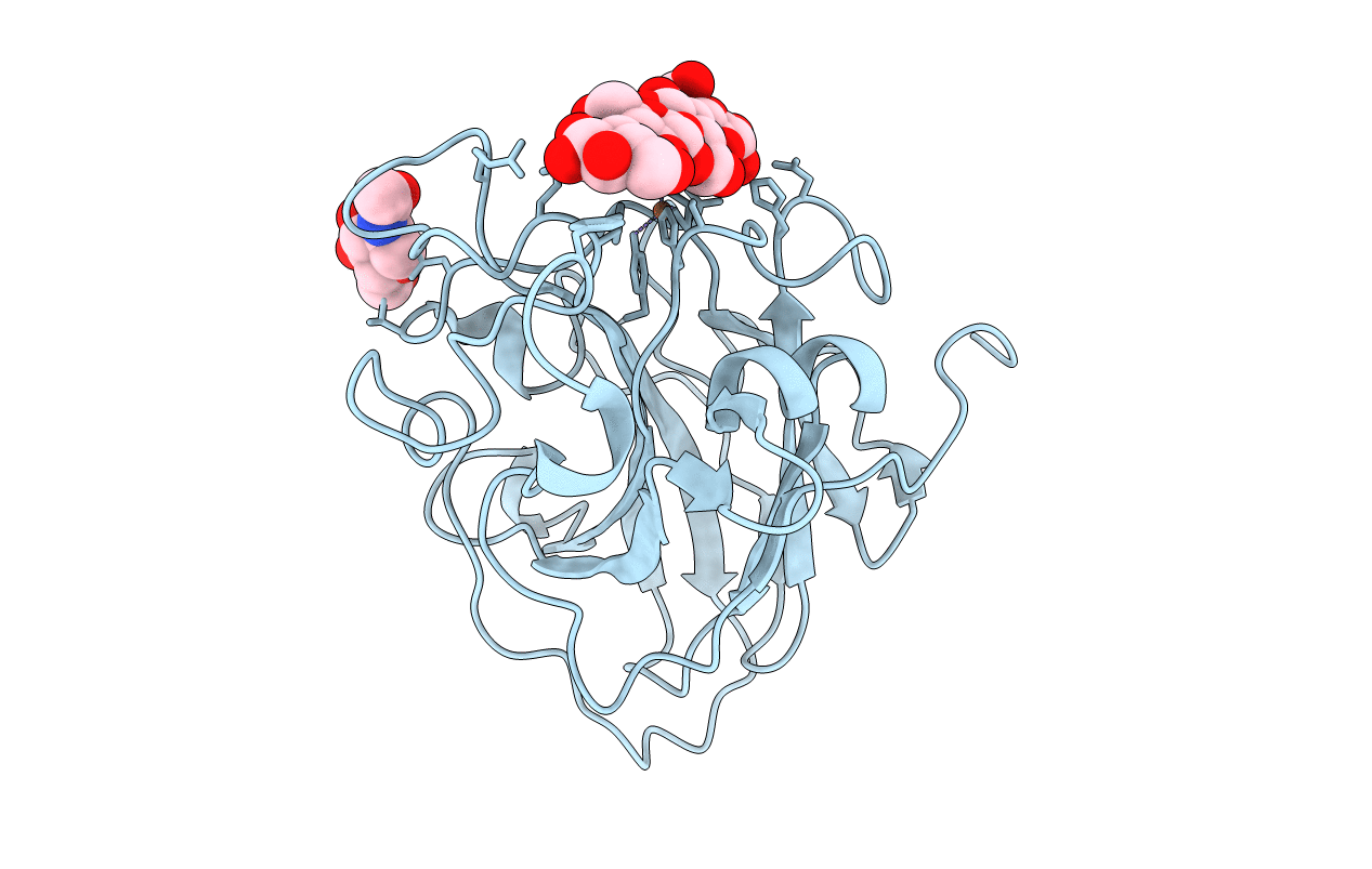 7PYI image