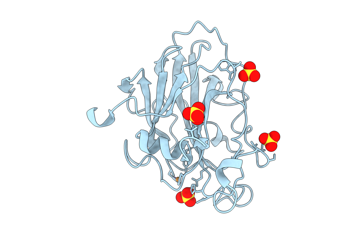 7PYM image