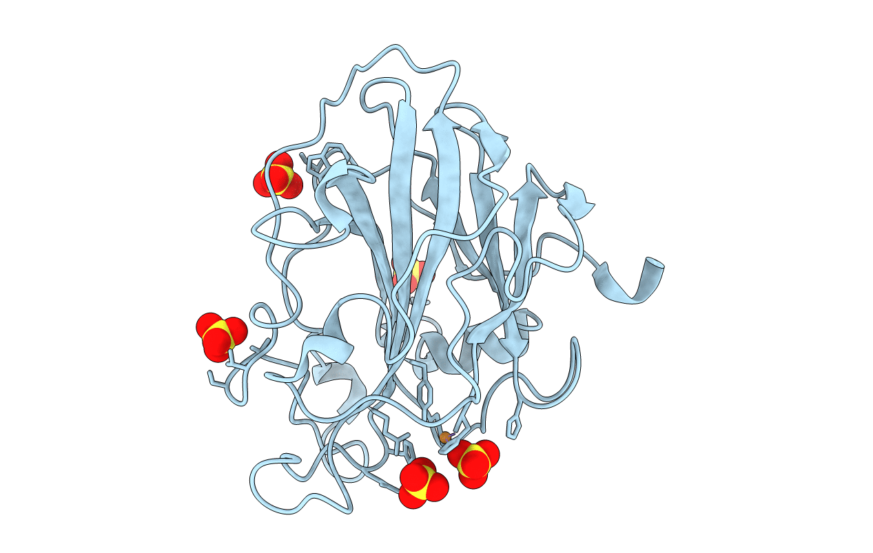 7PYN image