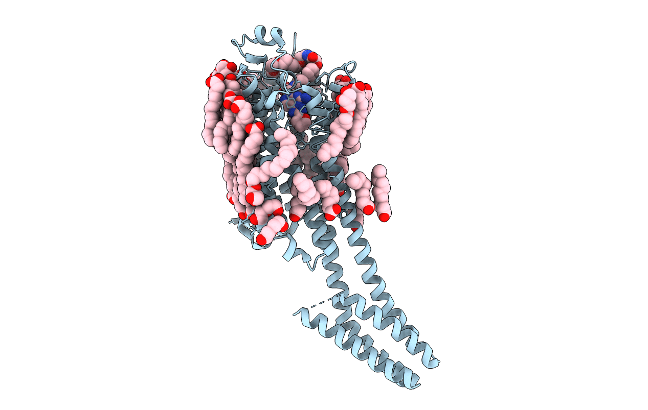 7PYR image