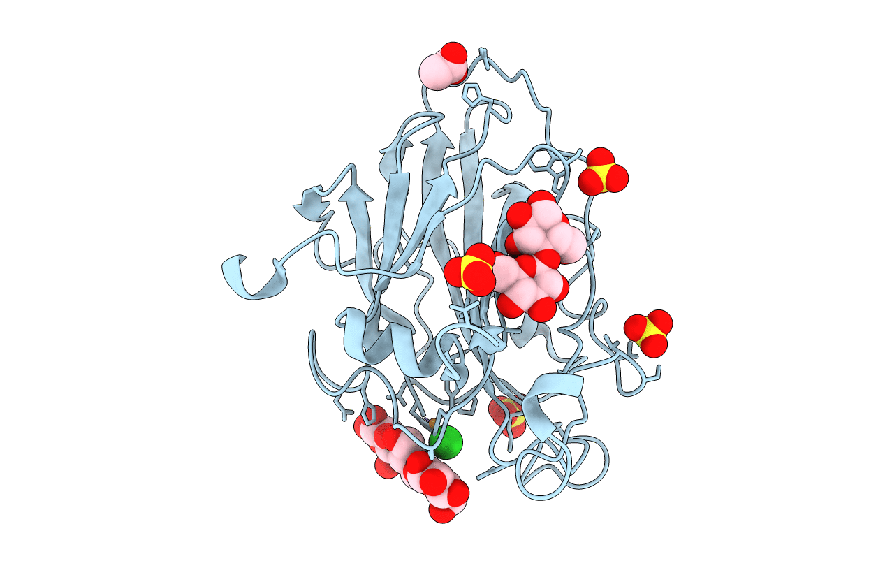 7PYW image