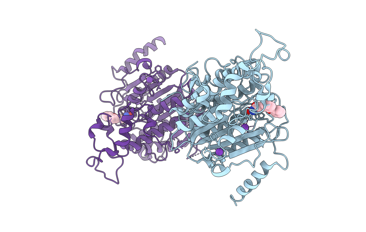 7Q1C image