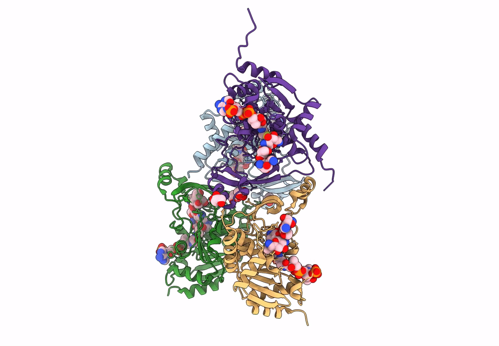 7Q1D image