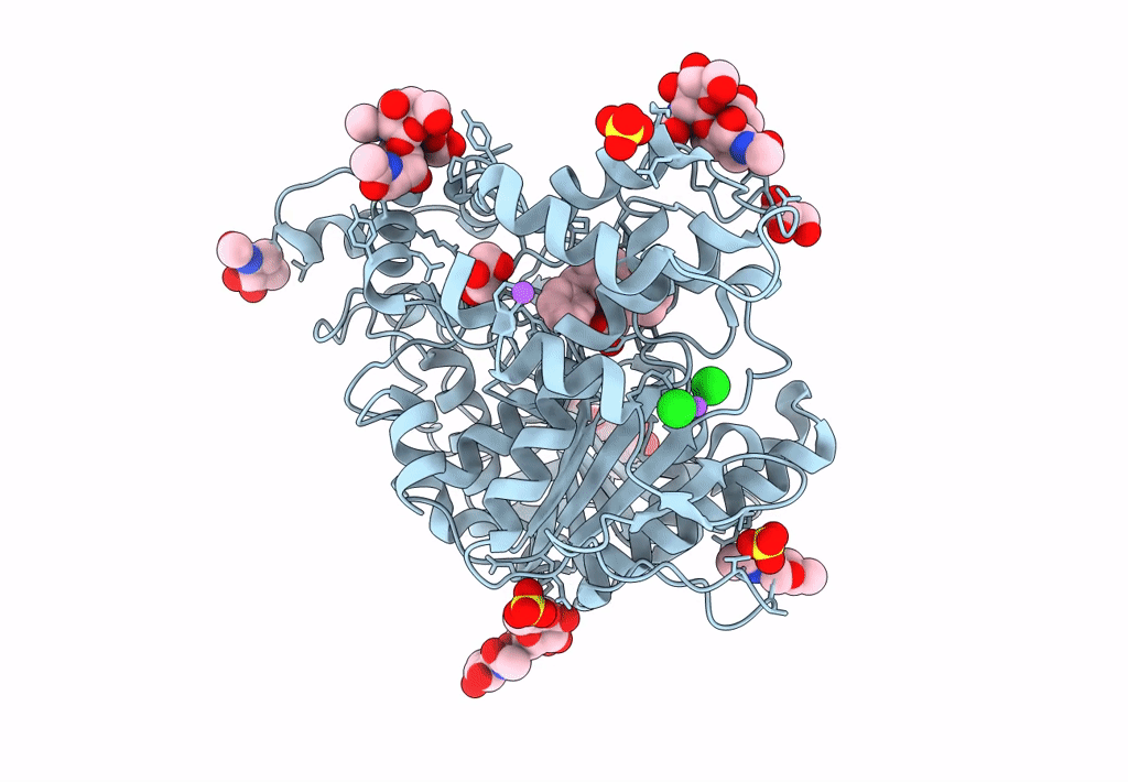 7Q1N image