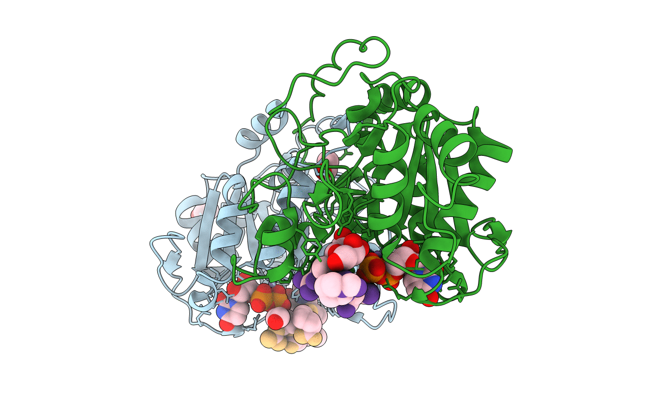 7Q4I image